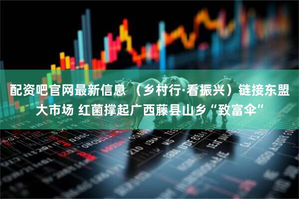 配资吧官网最新信息 （乡村行·看振兴）链接东盟大市场 红菌撑起广西藤县山乡“致富伞”